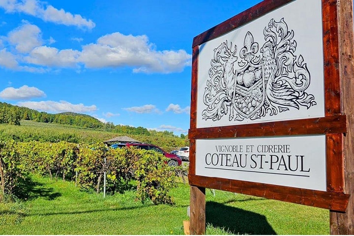 Vignoble Coteau St-Paul à St-Paul-d'Abotsford en Montérégie. Photo Sélection Vindici Sud du Québec.