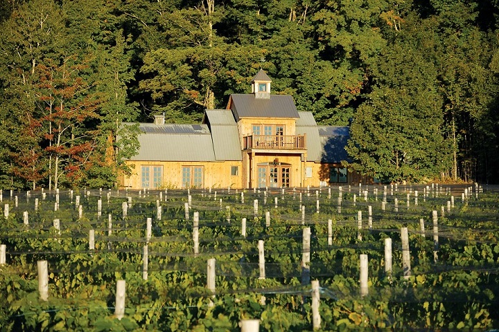 Vignoble ,Léon Courville vigneron ,Domaine Les Brome ,oenotourisme ,visite de vignobles ,cépages ,dégustation ,Cantons de l’Est ,Estrie , Sélection Vindici ,Sud du Québec ,