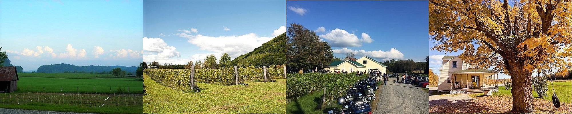 Vignoble Mont Vézeau ,Outaouais ,Sud du QUébec ,oenotourisme ,tourisme du vin ,sélection vindici ,