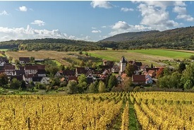BloggTrotters enjoy Alsatian Piedmont