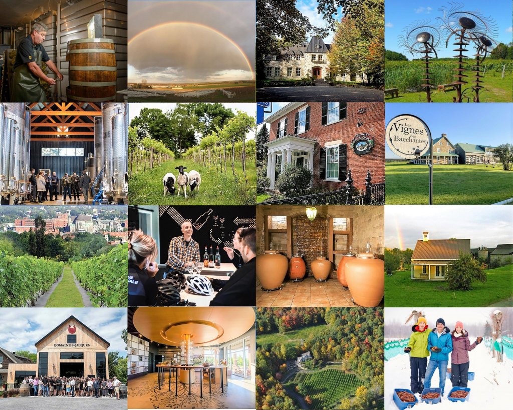 Vignoble Souffle de Vie Vindici