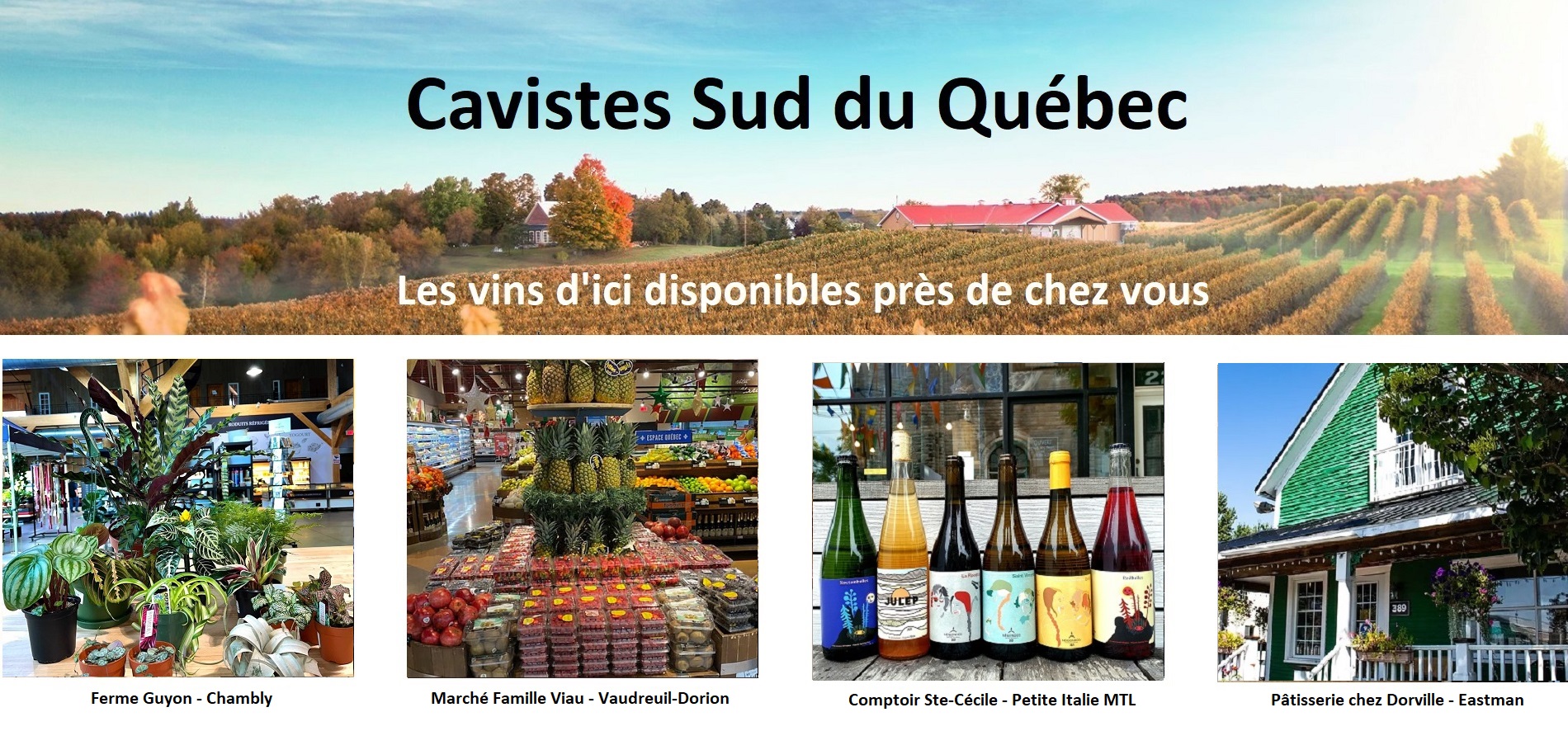 Sélection Vindici ,vins du Québec ,points de vente ,Sud du Québec ,