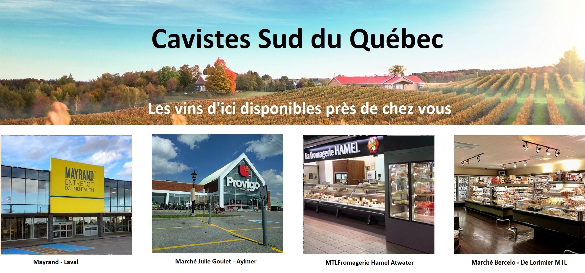 Sélection Vindici ,vins du Québec ,points de vente ,Sud du Québec ,