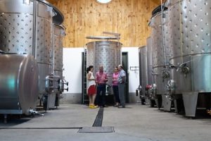 Vignoble Chateau de Cartes tourisme du vin – Zone Viticole Dunham - St-Armand Cantons de l’Est
