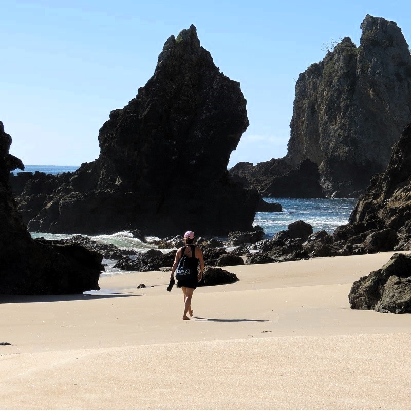 Vindici Photo Selection BloggTrotterrs visit Coromandel New Zealand