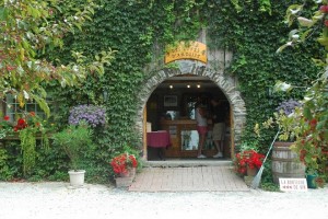 Visite vignoble ,vignoble Domaine Cotes d'Ardoise, domaines viticoles ,Dunham ,Estrie ,Cantons de l'Est ,Vignoble ,Meilleurs restaurants ,hebergement ,a proximite ,