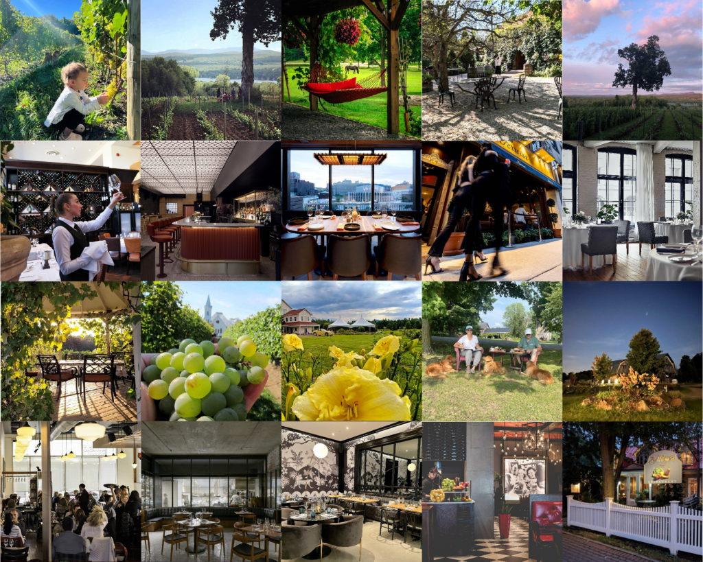 Vindici Selection des meilleurs vignobles et restaurants du Sud du Québec.