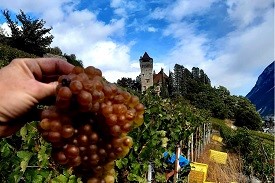BloggTrotterrs visit Valais Switzerland