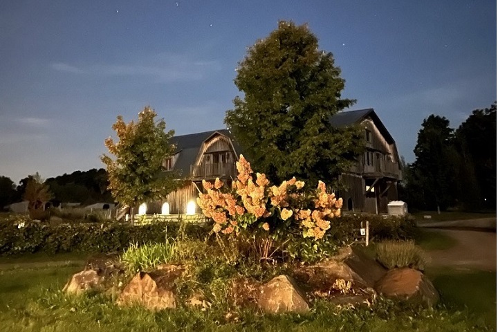 Vignoble La Belle Alliance à Shefford Cantons de l'Est. Photo Sélection Vindici Sud Du Québec.
