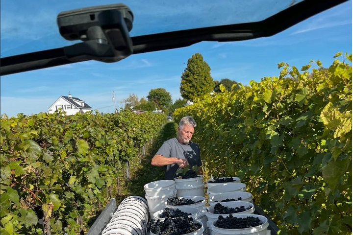 Vignoble Les Gémeaux à Hinchinbrooke Montérégie. Photo Sélection Vindici Sud du Québec.