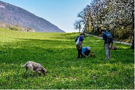 BloggTrotterrs visit Canton de Vaud Switzerland