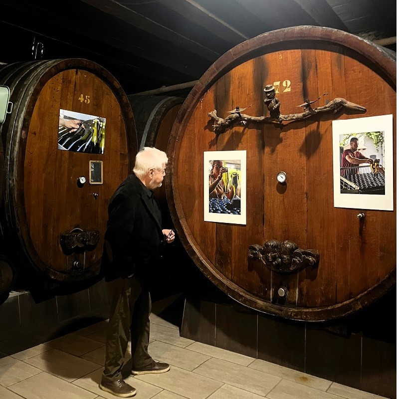 Vindici Photo Selection BloggTrotterrs visit Mittlebergheim Alsace