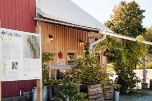 Vignoble Val Caudalies tourisme du vin – zone viticole Dunham – St-Armand Cantons de l’Est