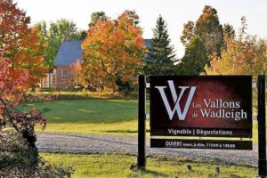 Vignoble Les Vallons de Wadleigh tourisme du vin – zone viticole Sherbrooke - Compton Cantons de l’Est