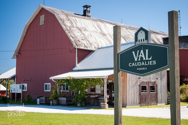 Vignoble Val Caudalies à Dunham Cantons de l'Est. Photo Sélection Vindici Sud du Québec.